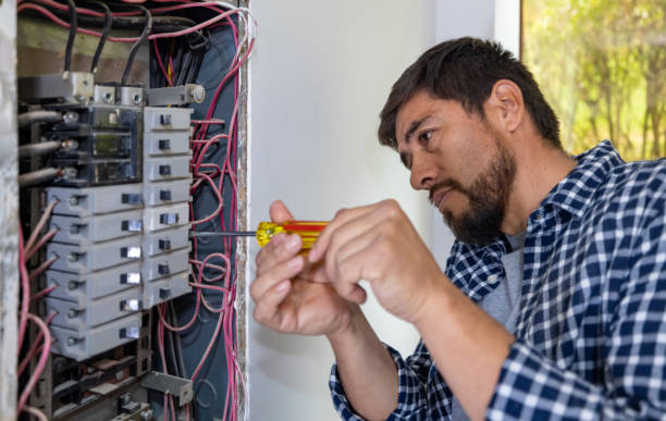 Best Ceiling Fan Installation Electrician  in Palm Coast, FL